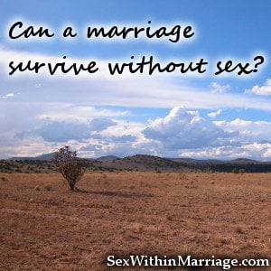 Can Marriage Survive Without Sex 118